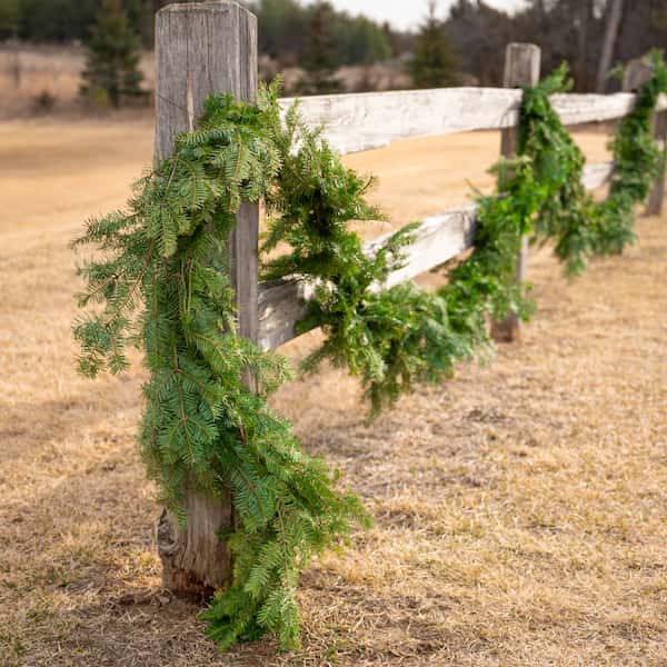 Garland